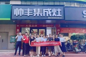 引领集成灶十大品牌新趋势，帅丰电器<span class=
