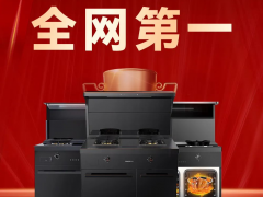 双十一强势霸榜，集成灶十大品牌帅丰<span class=