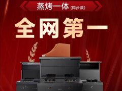 创下双11多个“第一”背后，帅丰<span class=