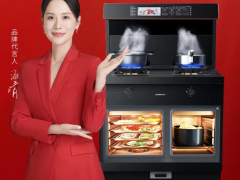 帅丰集成灶<span class=