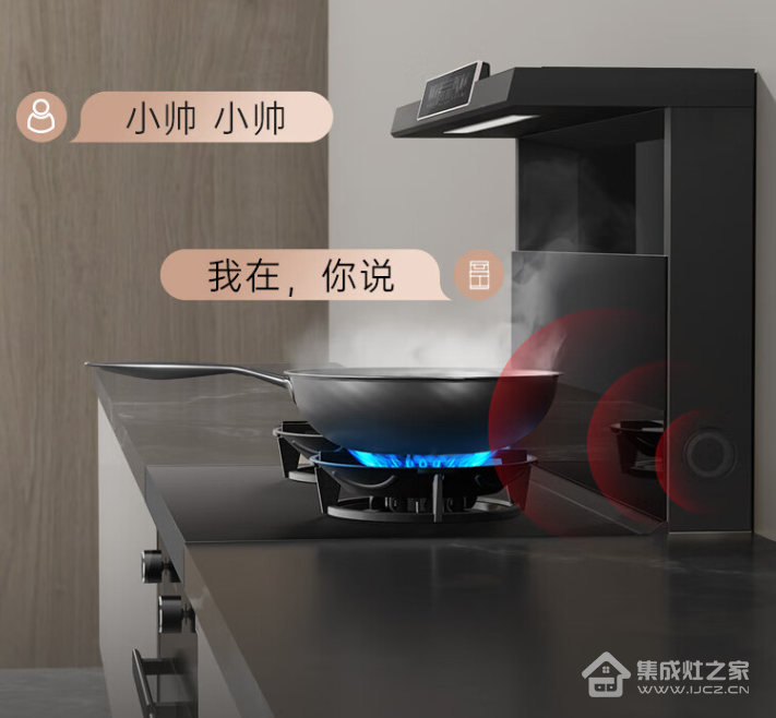 选购集成灶怕踩坑,来听听小帅的建议吧!