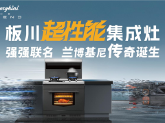 集成灶十大品牌怎么选？<span class=
