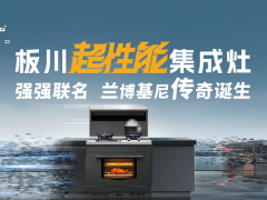 集成灶哪个牌子好，十大品牌集成灶是哪些牌子？