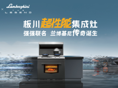 双十一集成灶怎么选？十大集成灶品牌产品选购指南
