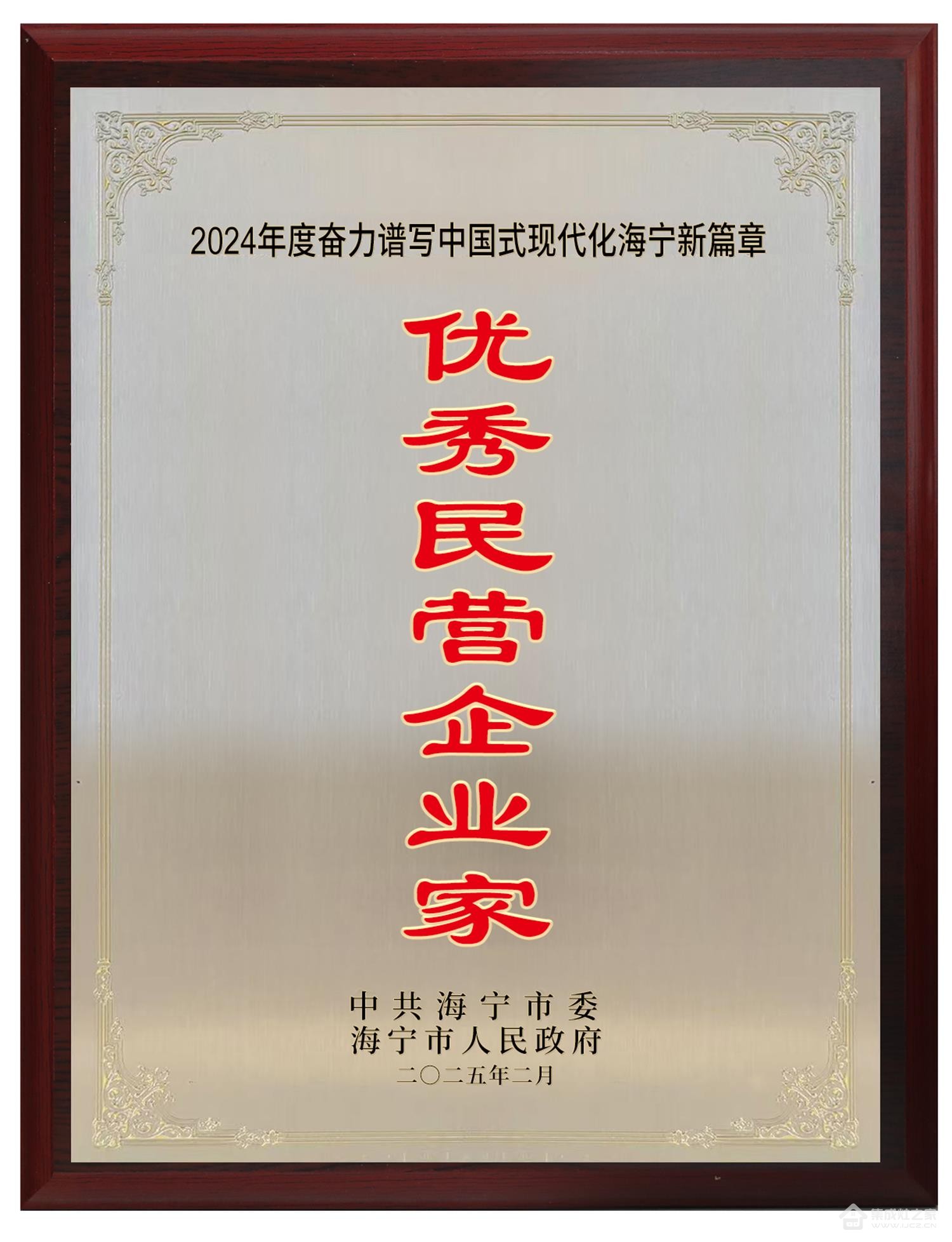 收税2