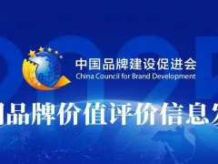2025年中国品牌价值评价结果揭晓，浙江美大再次荣登榜单